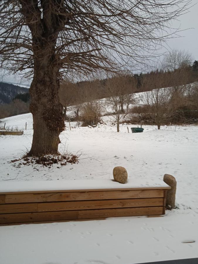 Gites De La Berthe Lantriac Bagian luar foto